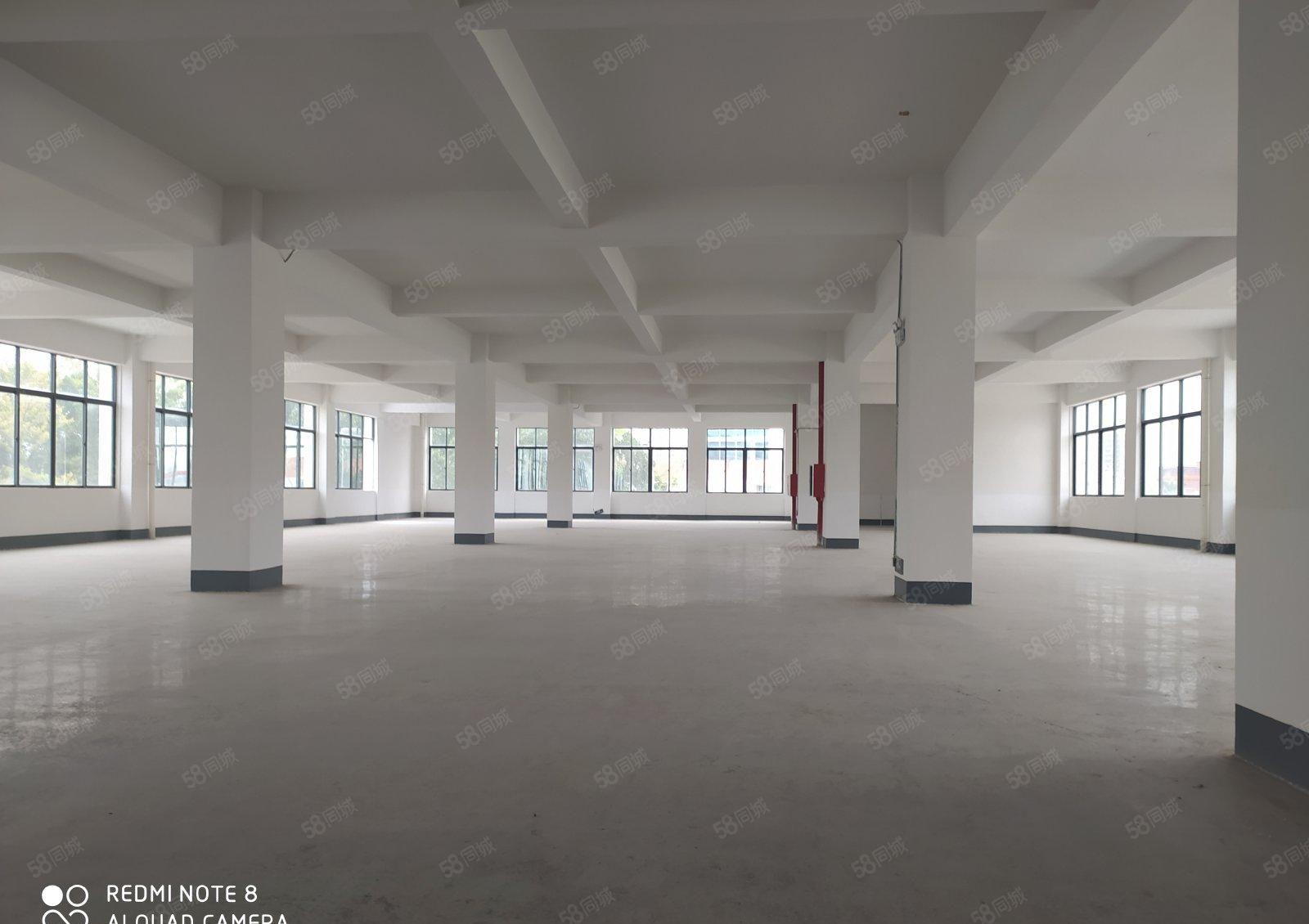 惠州淡水红本厂房9000平出租起租可办环评1000平可分租