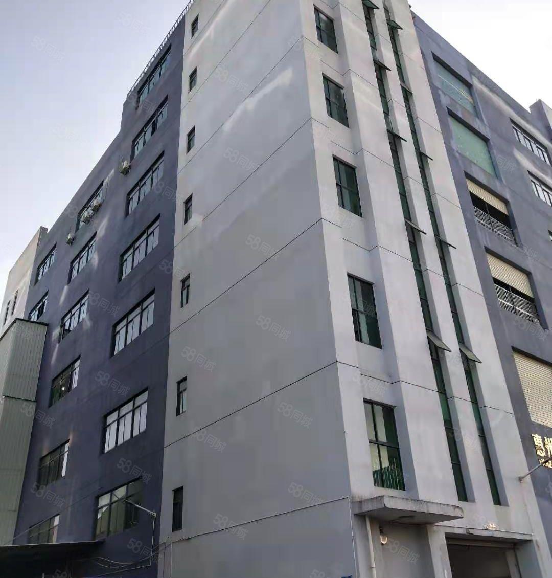 惠阳沙田原房东园区独栋6层标准厂房8米高12000平含税出租