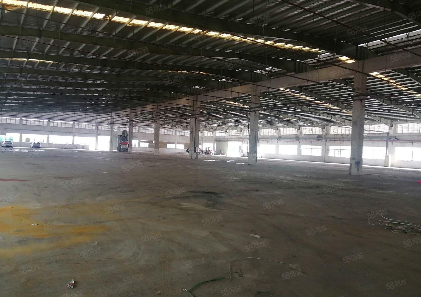 镇隆中仁工业园带红本标准厂房8000招租，可分租，层高9米