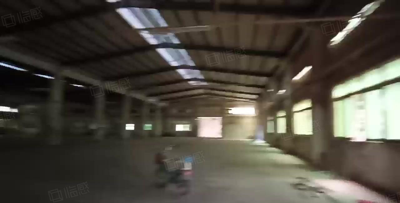 新圩新出独院钢构5000平砖墙到顶，滴水8米，原房东低价甩租