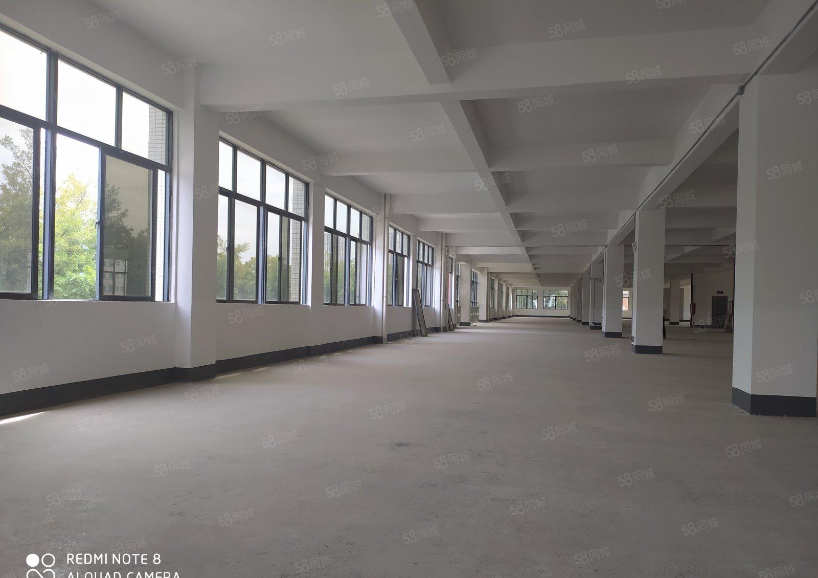 惠州淡水红本厂房9000平出租起租可办环评1000平可分租