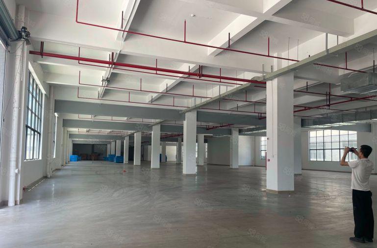 三和工业园全新厂房一二楼各1000平低价出租 楼上只要8块