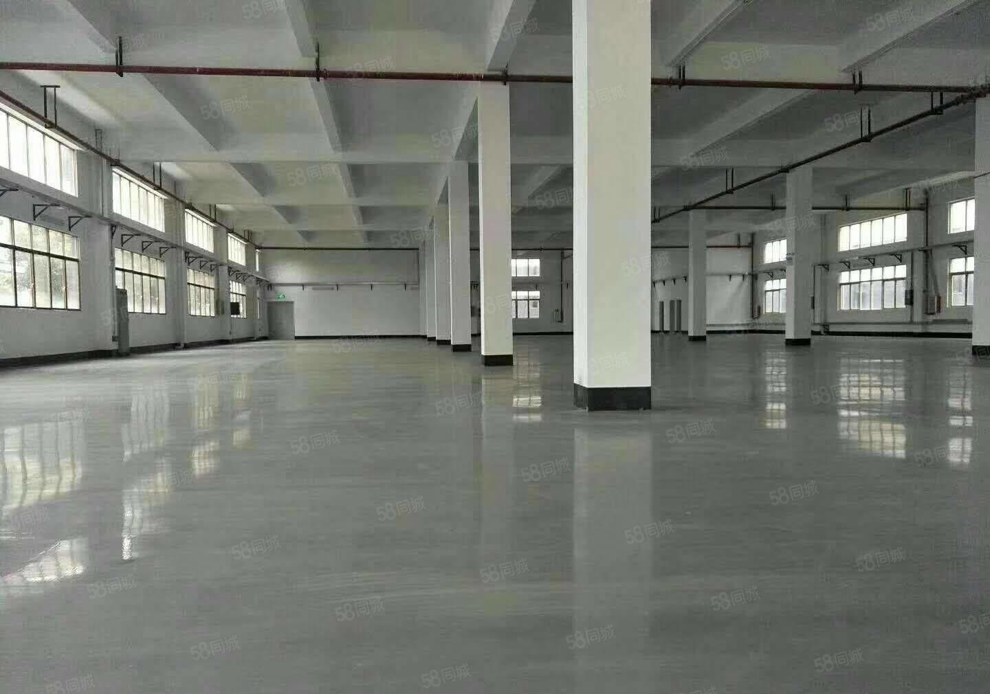 惠阳区新圩独院带装修标准厂房3600平米出租