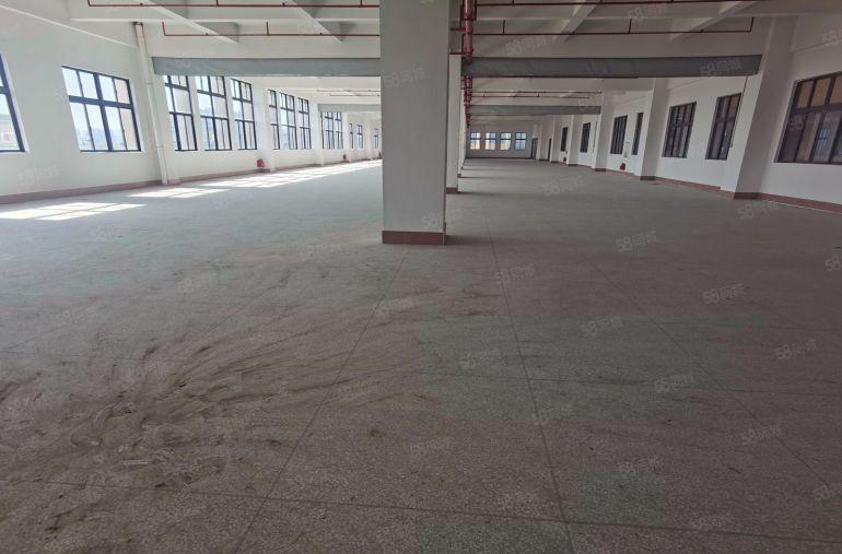 6块镇隆厂房出租全新红本原房东厂房独栋独院厂房1000平起租