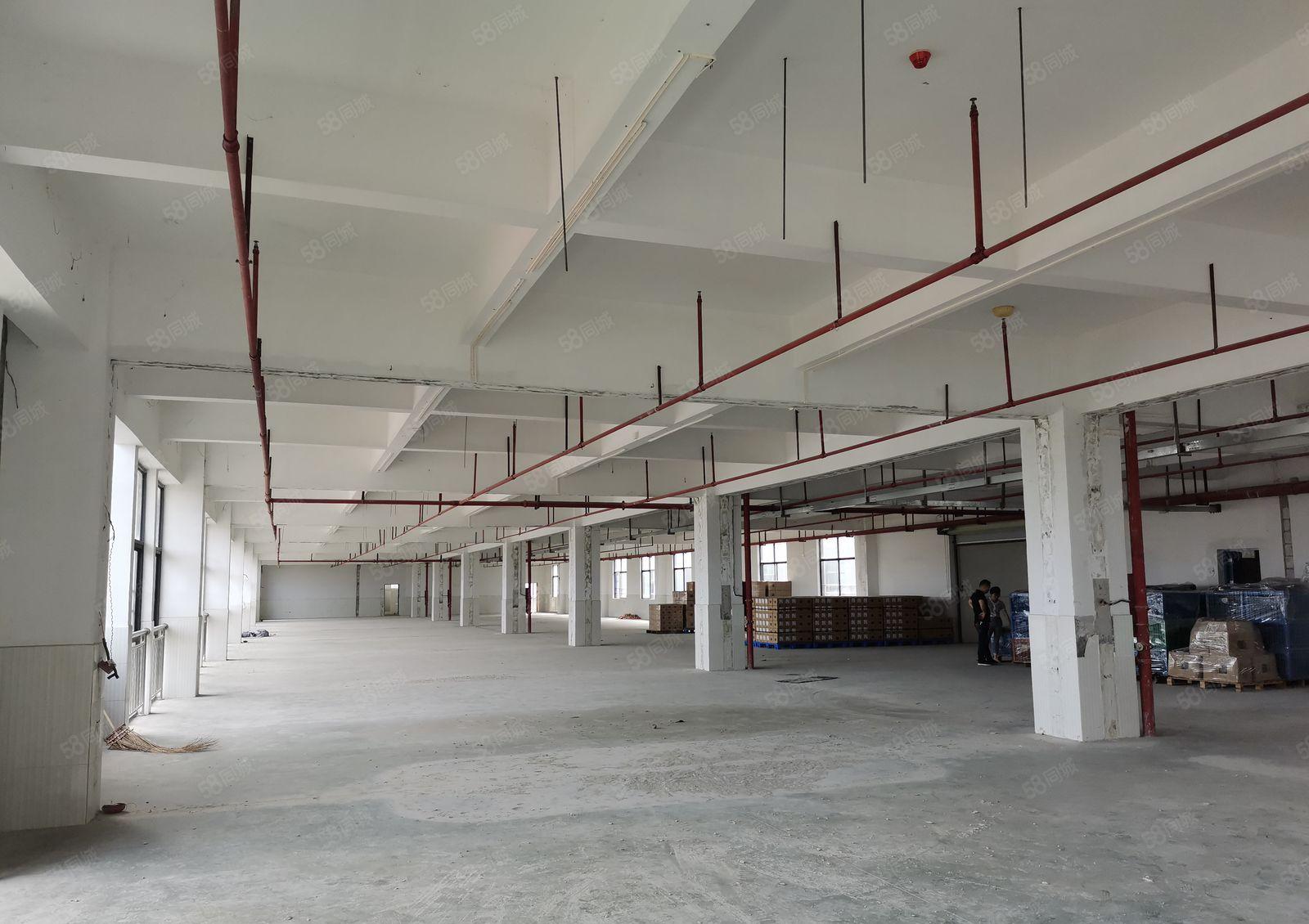 惠阳沙田全新红本厂房出租，可整租可分租，工业用地可办环评