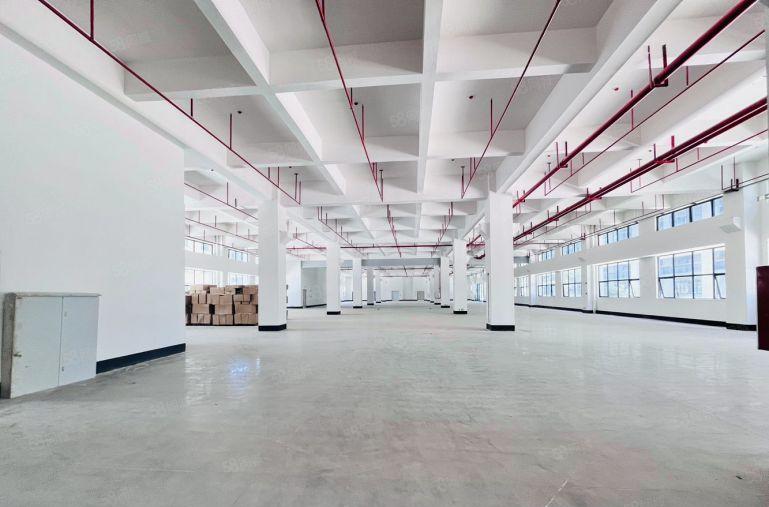 6块租新圩长布原房东18000平全新红本独院厂房