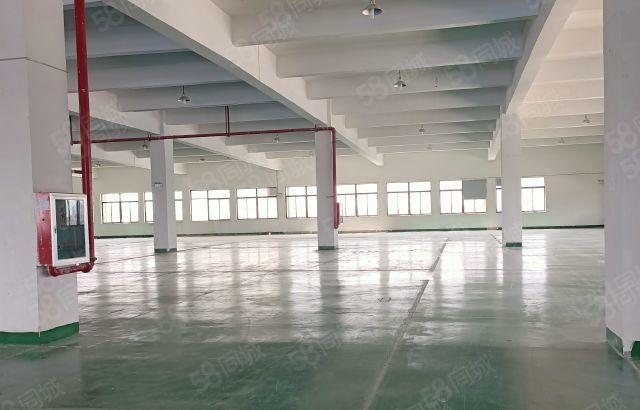 惠阳镇隆独院原房东标准厂房5100平方出租 可分租