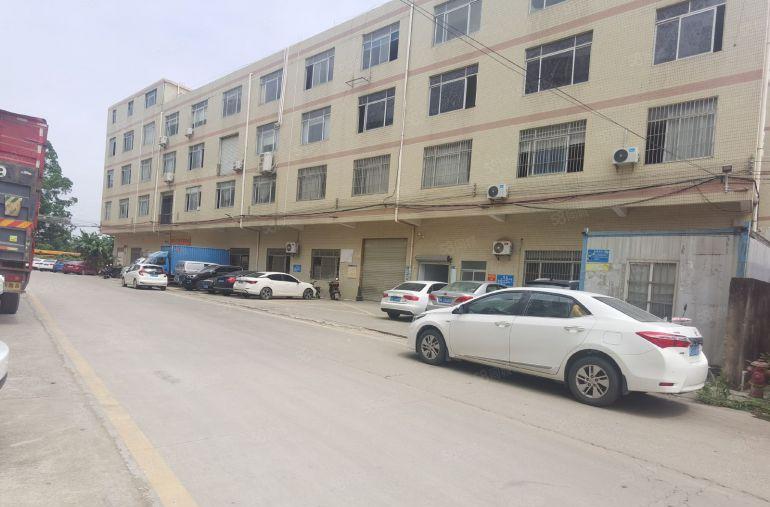 惠阳秋长维布原房东标准厂房出租