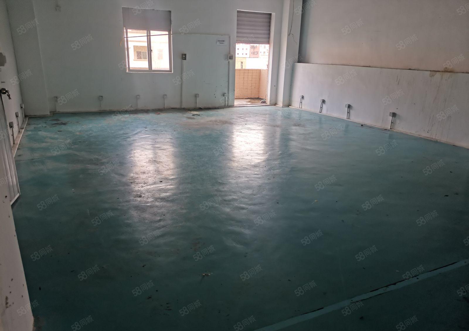 惠阳新圩高速旁原房东红本标准厂房带精装修2楼1350平出租