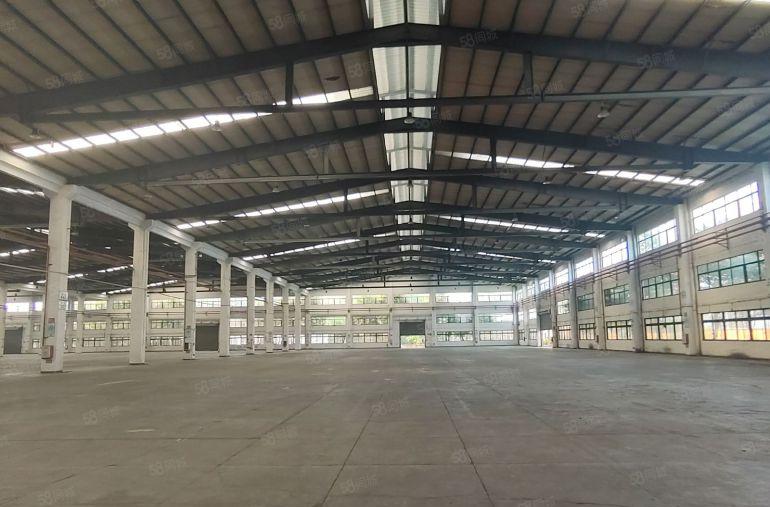 滴水11米单一层厂房32000平方，可分租