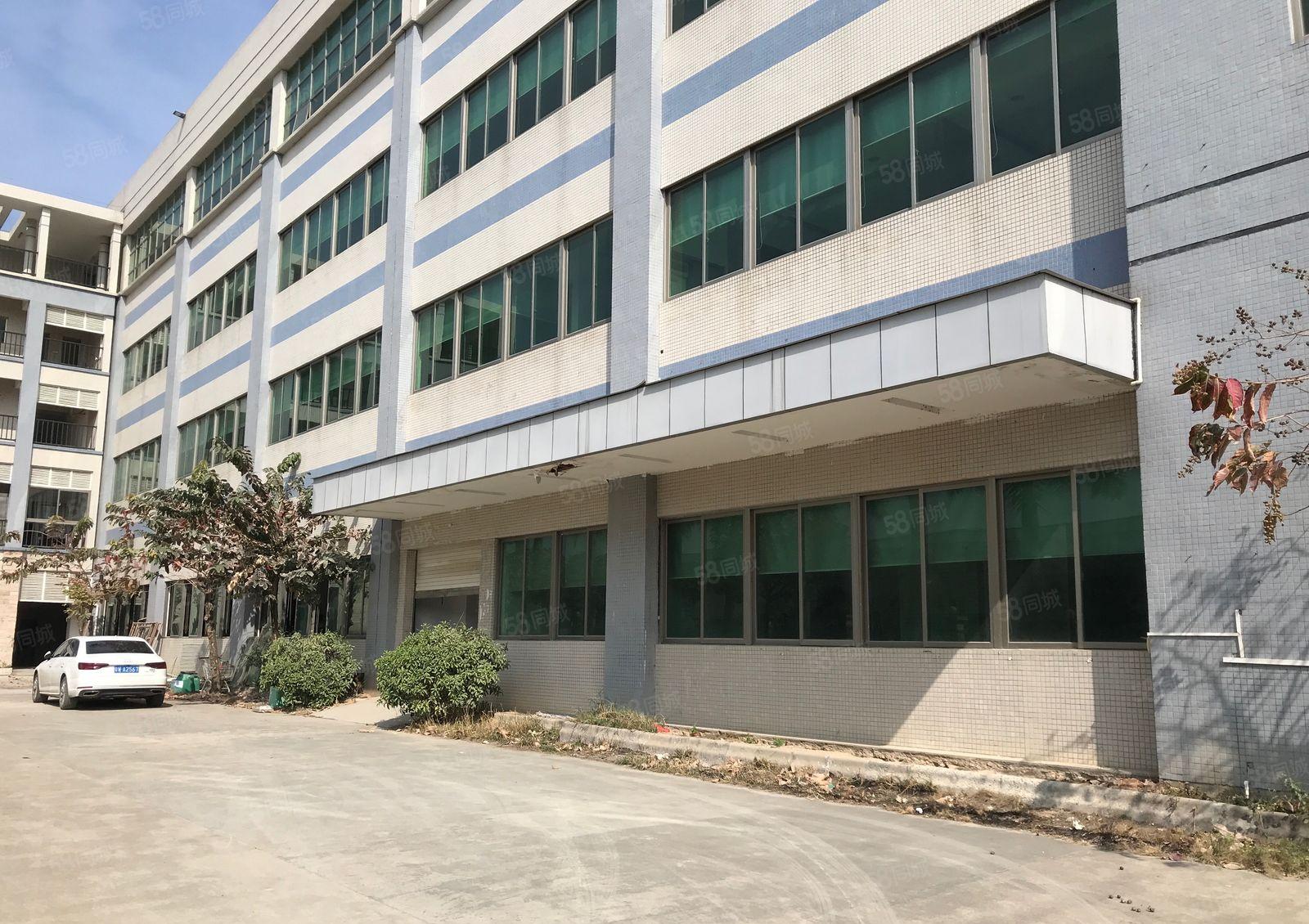 新圩约场花园式独院厂房3800平方出租