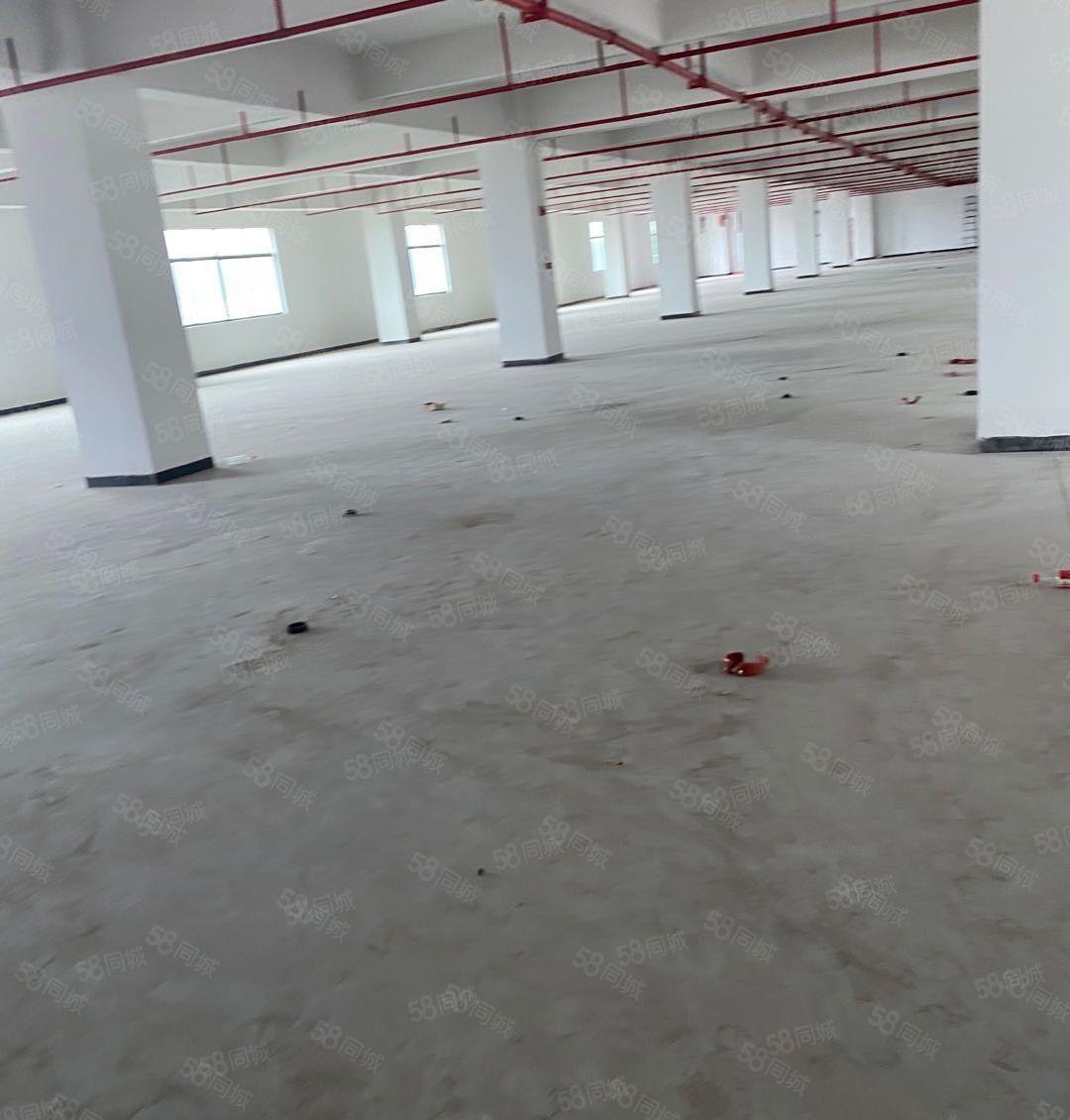 原房东直租新圩新出标准厂房三楼2580平米可办环评