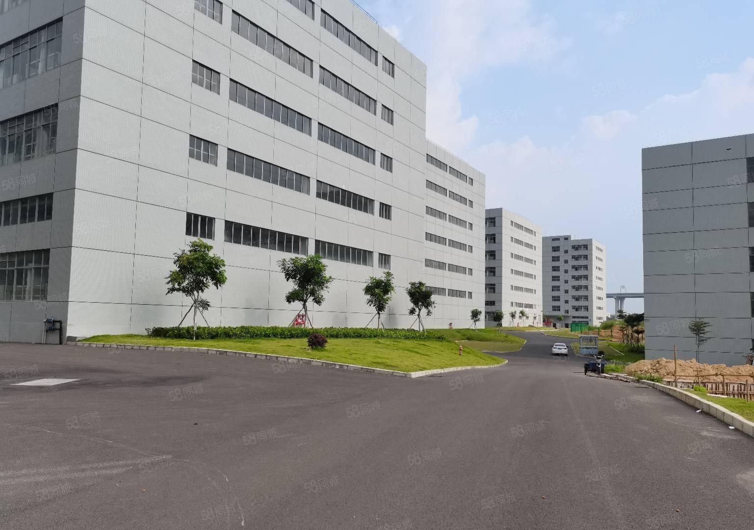 500平起租，惠阳新圩5万平工业区厂房仓库独院出租带消防喷淋