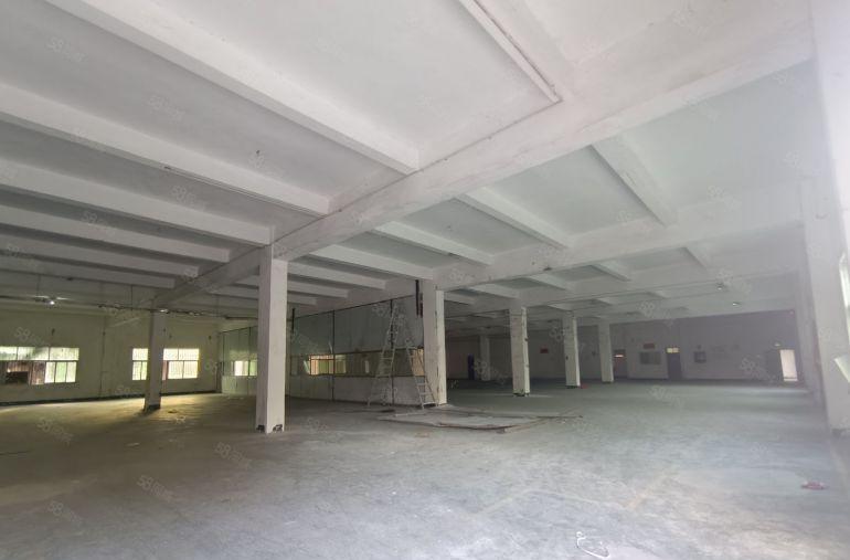 镇隆工业区主干道旁独门独院厂房出租，交通便利，证件齐全