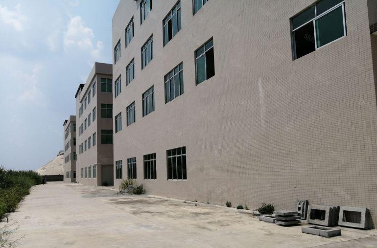 新圩新出原房东实际面积出租6500平米可以分租带消防喷淋