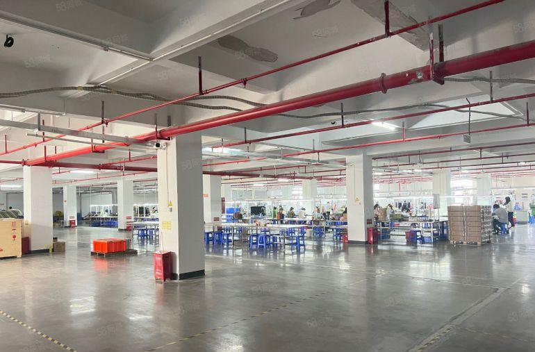 年前特价出租秋长新出厂房仓库出租现成装修隔好办公1000平