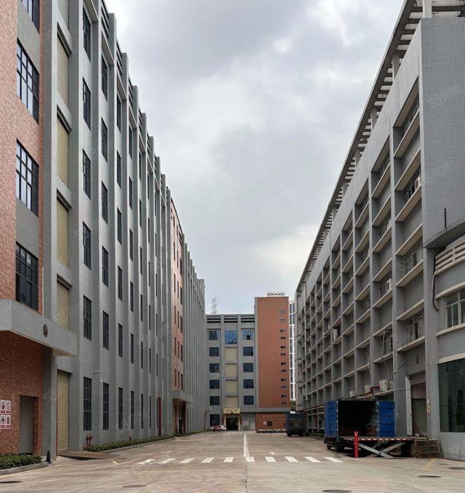 惠阳三和惠南大道边新出原房东红本重工业标准厂房19500平