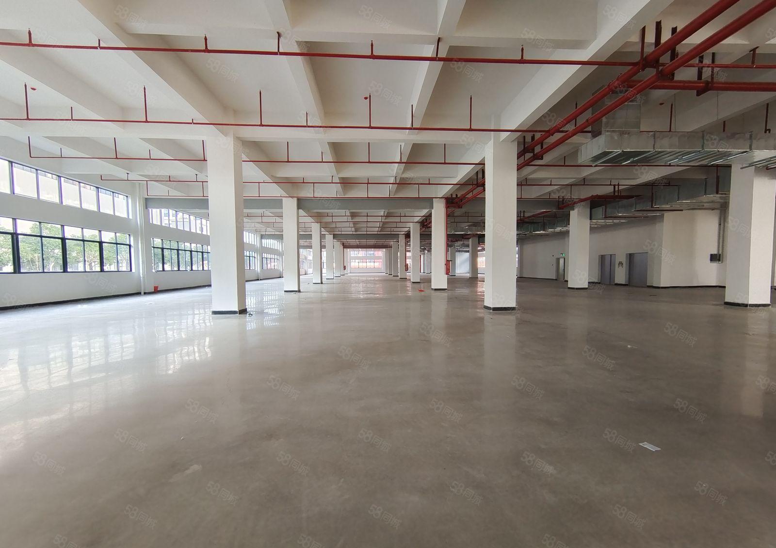 平潭怡发工业区楼上2200平全新厂房 免2月租金