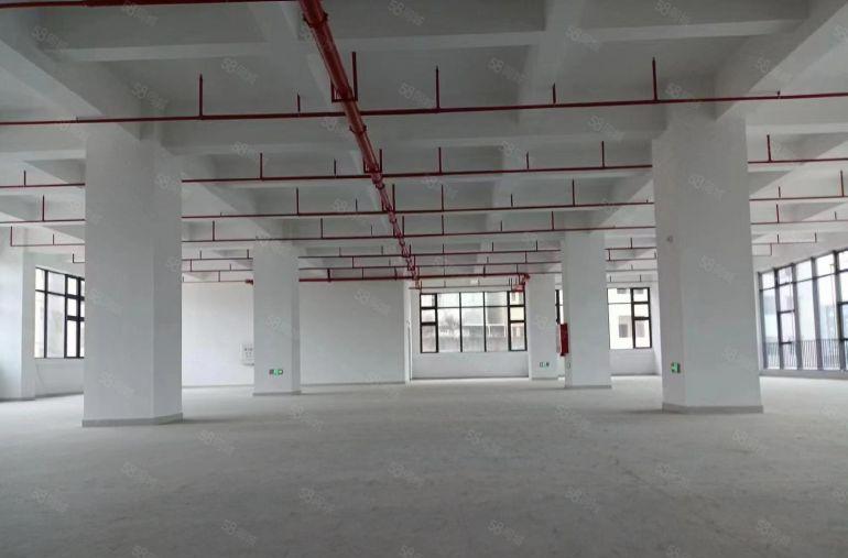 惠州惠阳沙田镇全新红本厂房10元