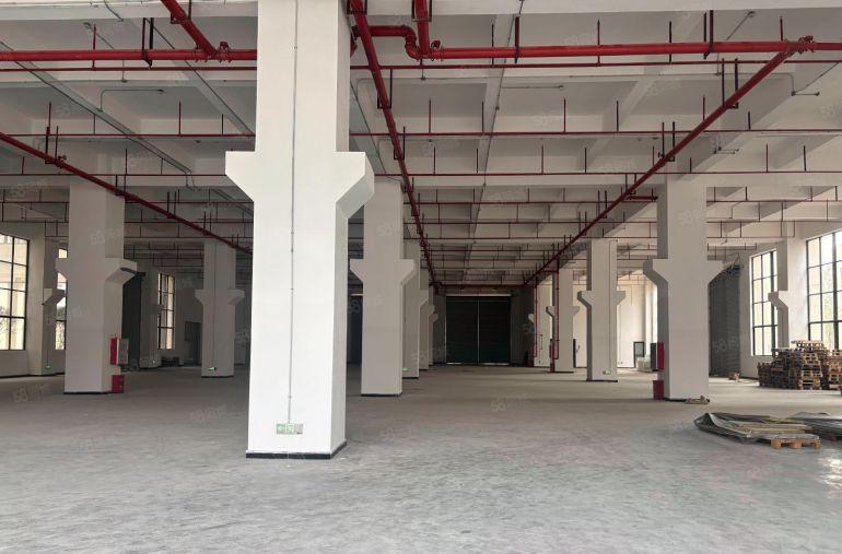 11元急租！惠阳三和新出2000平原房东红本厂房仓库出租