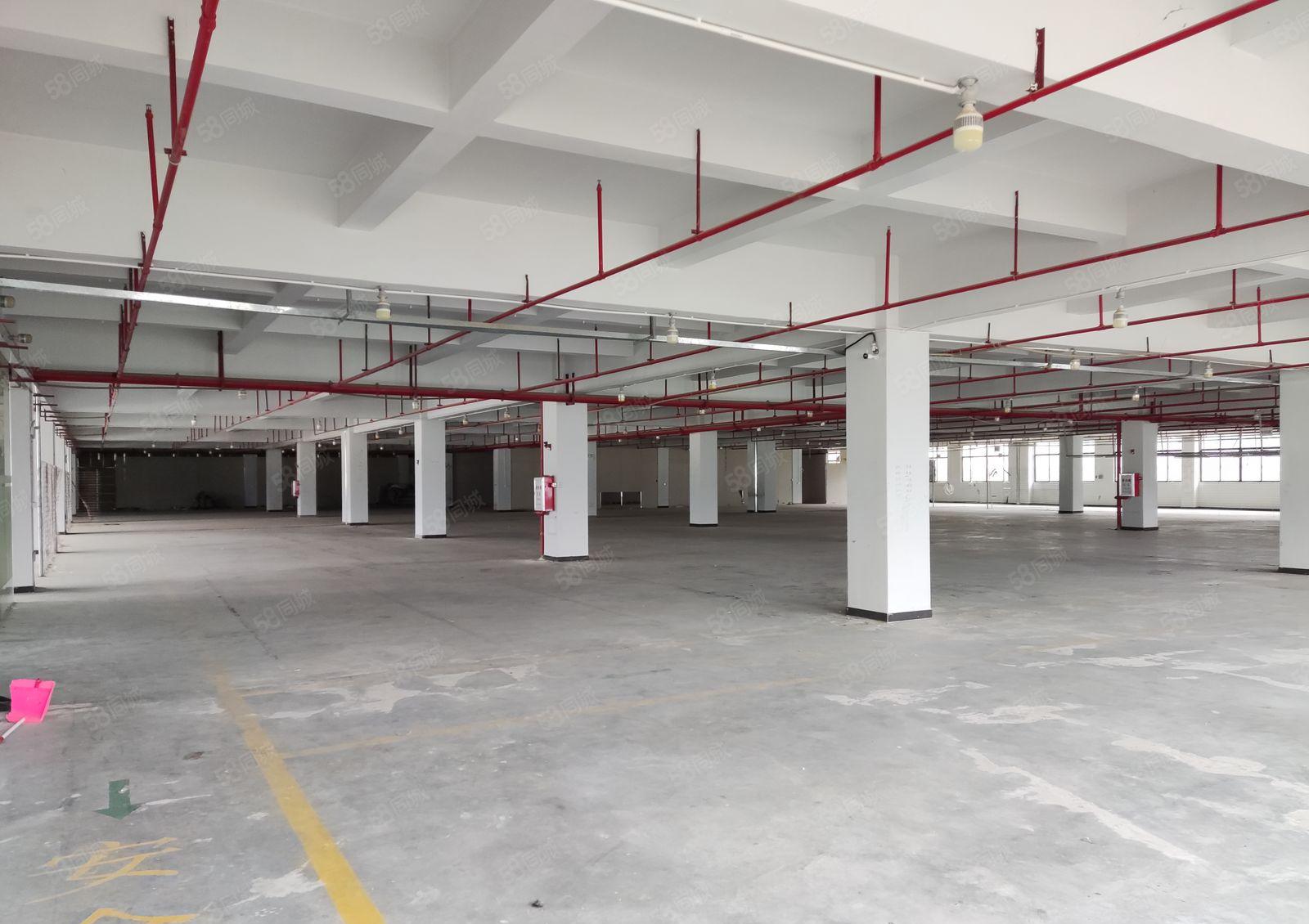 （）惠阳秋长镇茶园村工业园厂房办公楼招租，大小可分租