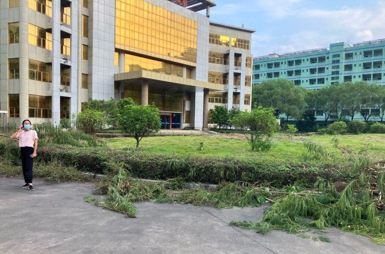 惠州惠阳淡水主干道旁1500平标准厂房出租