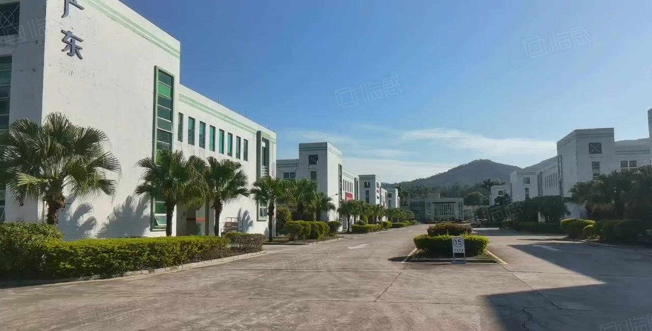 （超长免租期）整层1000平原房东厂房出租，证件齐全