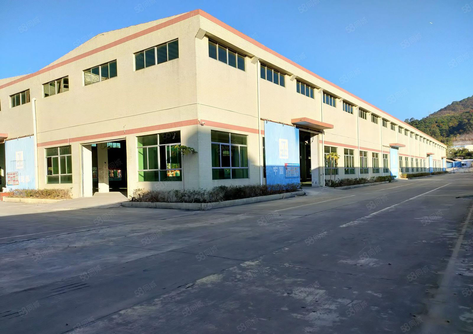 大亚湾10米高钢结构厂房出租，5000平方，可分租