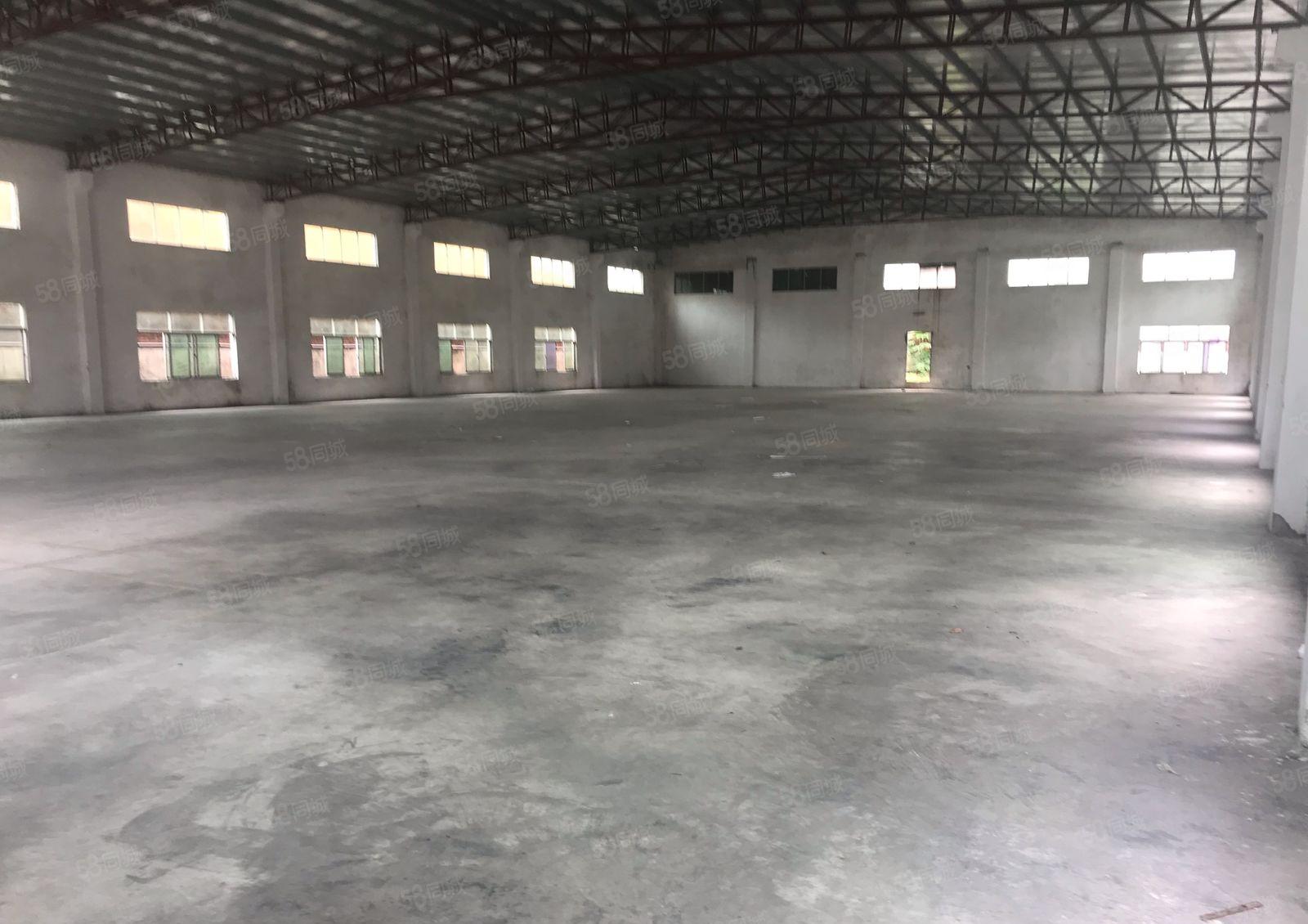 大亚湾工业区原房东钢构800平1200平出租