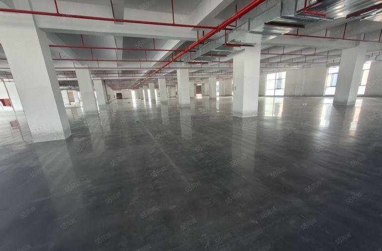 大亚湾临深42000平方全新独院厂房仓库出租大小可分租