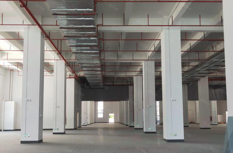 惠阳大亚湾临深全新红本厂房150平起分租