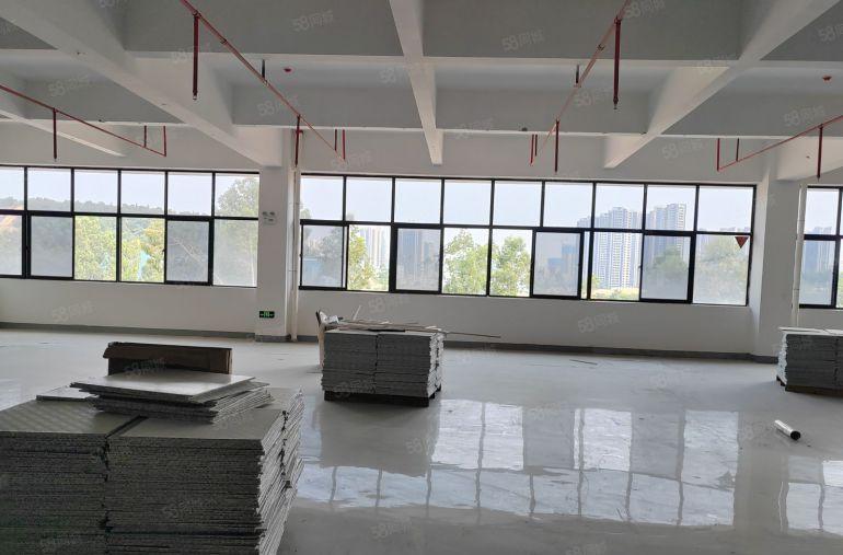 8元8元8元大亚湾独栋厂房原房东精装修厂房实际面积低价出租