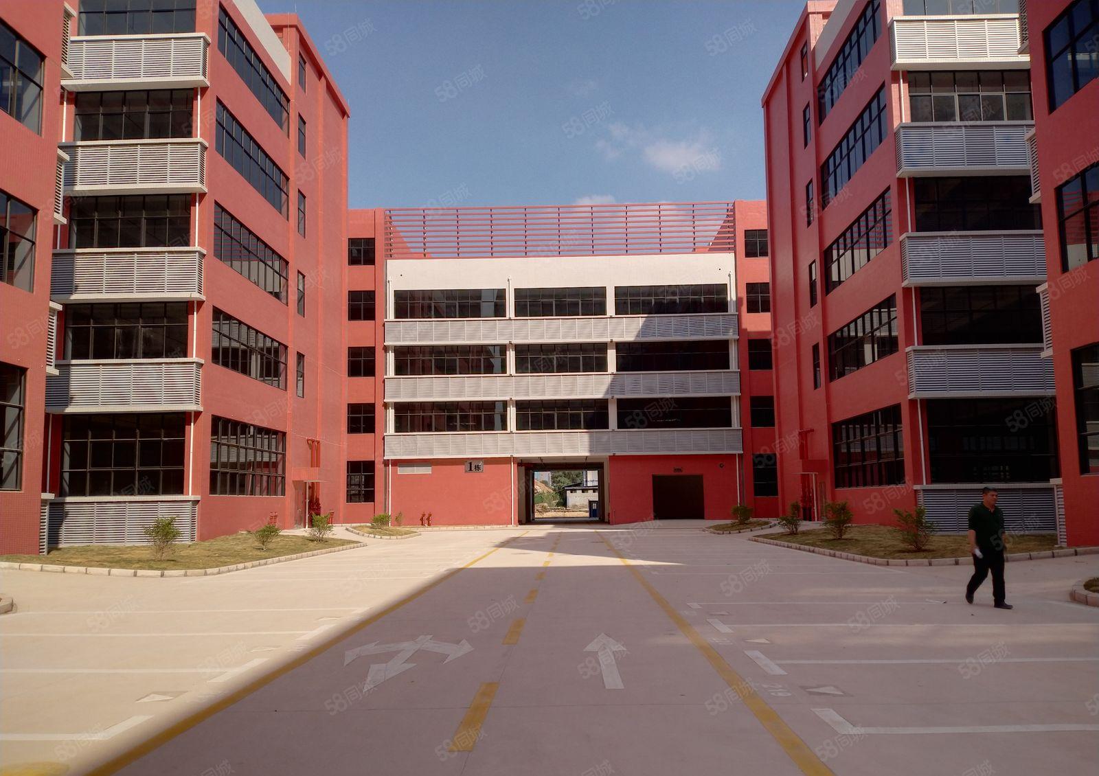 大亚湾龙山五路全新5万平厂房出租