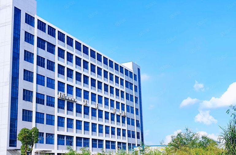 14.5元大亚湾西区有办公室，地平漆，面积2000平米.