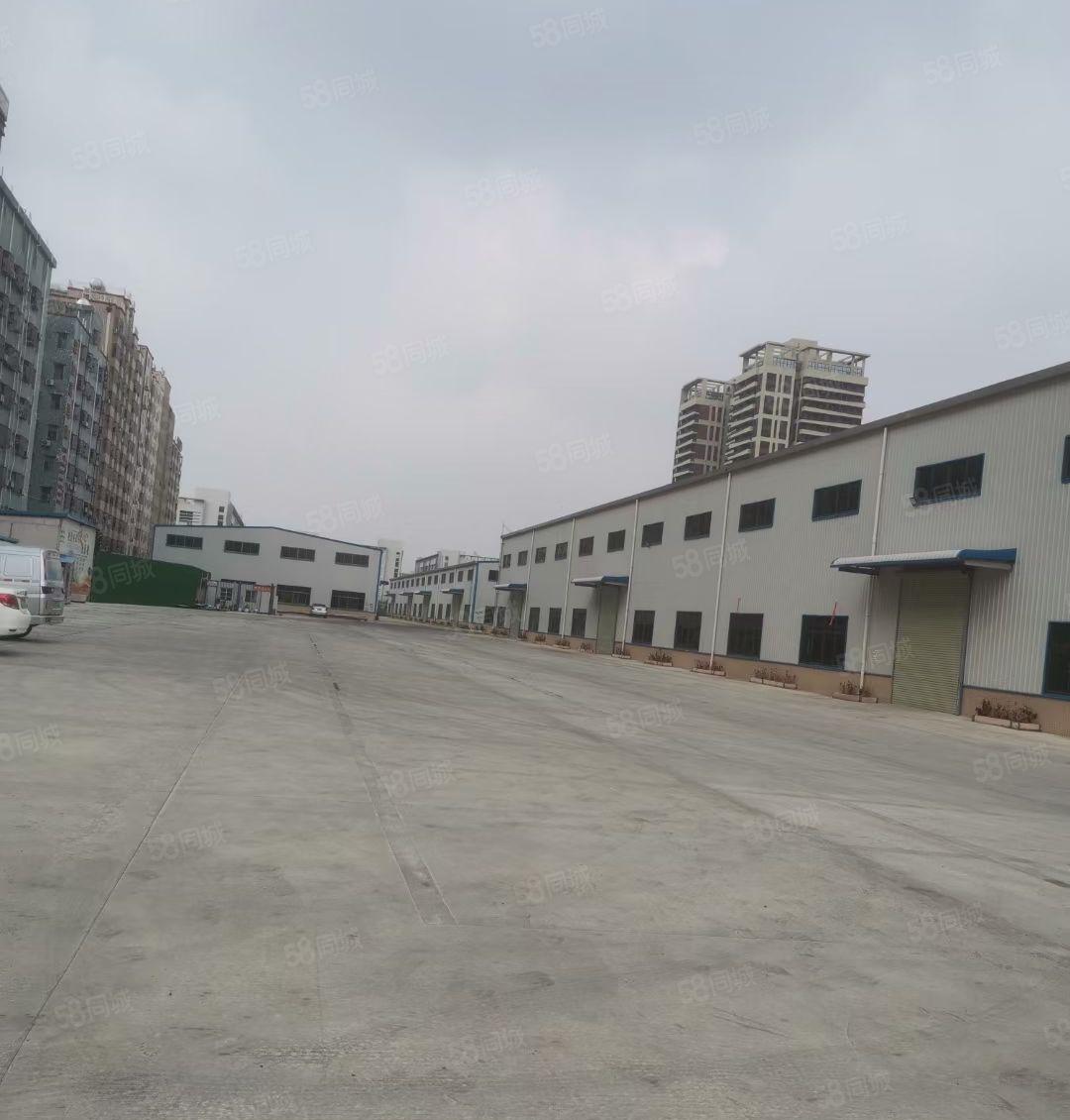 12米钢构2600平米厂房出租