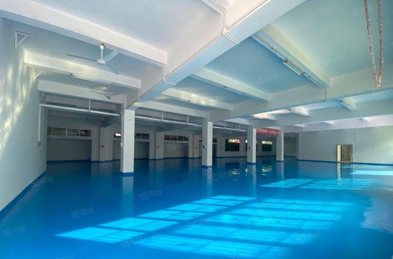 大亚湾西区原房东一楼二楼2000平精装修办公仓库厂房低价出租