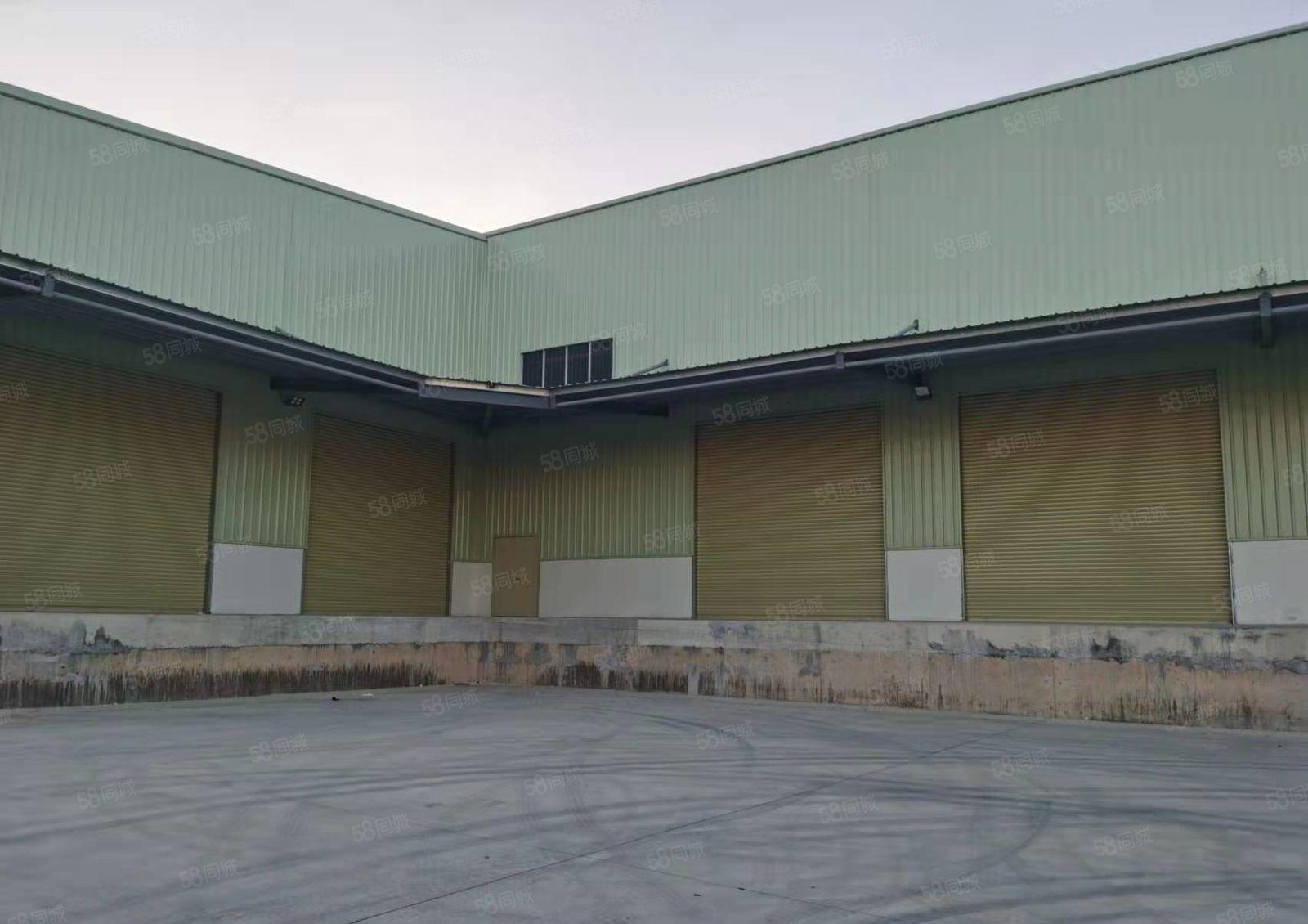 全新钢构，带有消防喷淋，卸货平台，证件齐全。