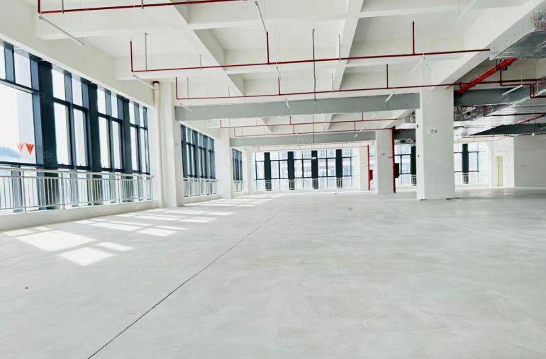 13块钱，大亚湾西区，楼上厂房，500平米