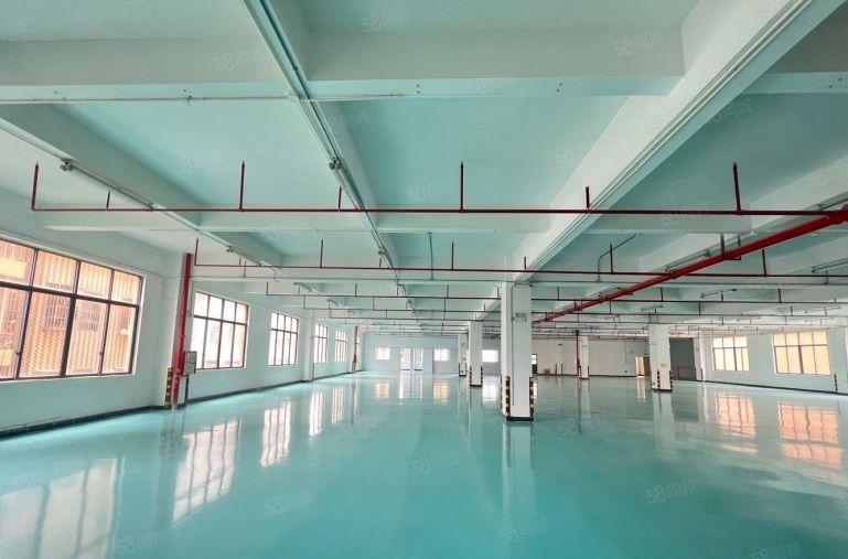 大亚湾新出原房东楼上2000平带装修厂房仓库低价出租可分租