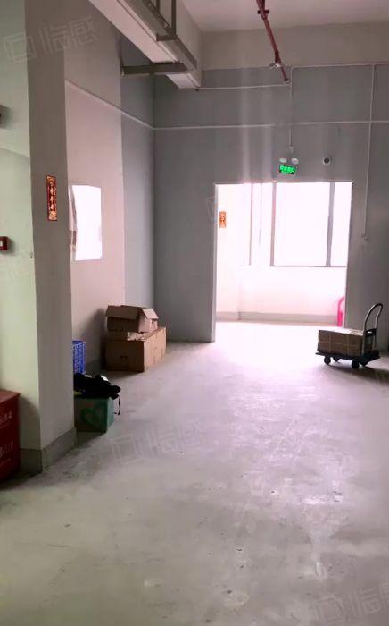 800平精装！10元一平！原房东厂房仓库出租！高使用率