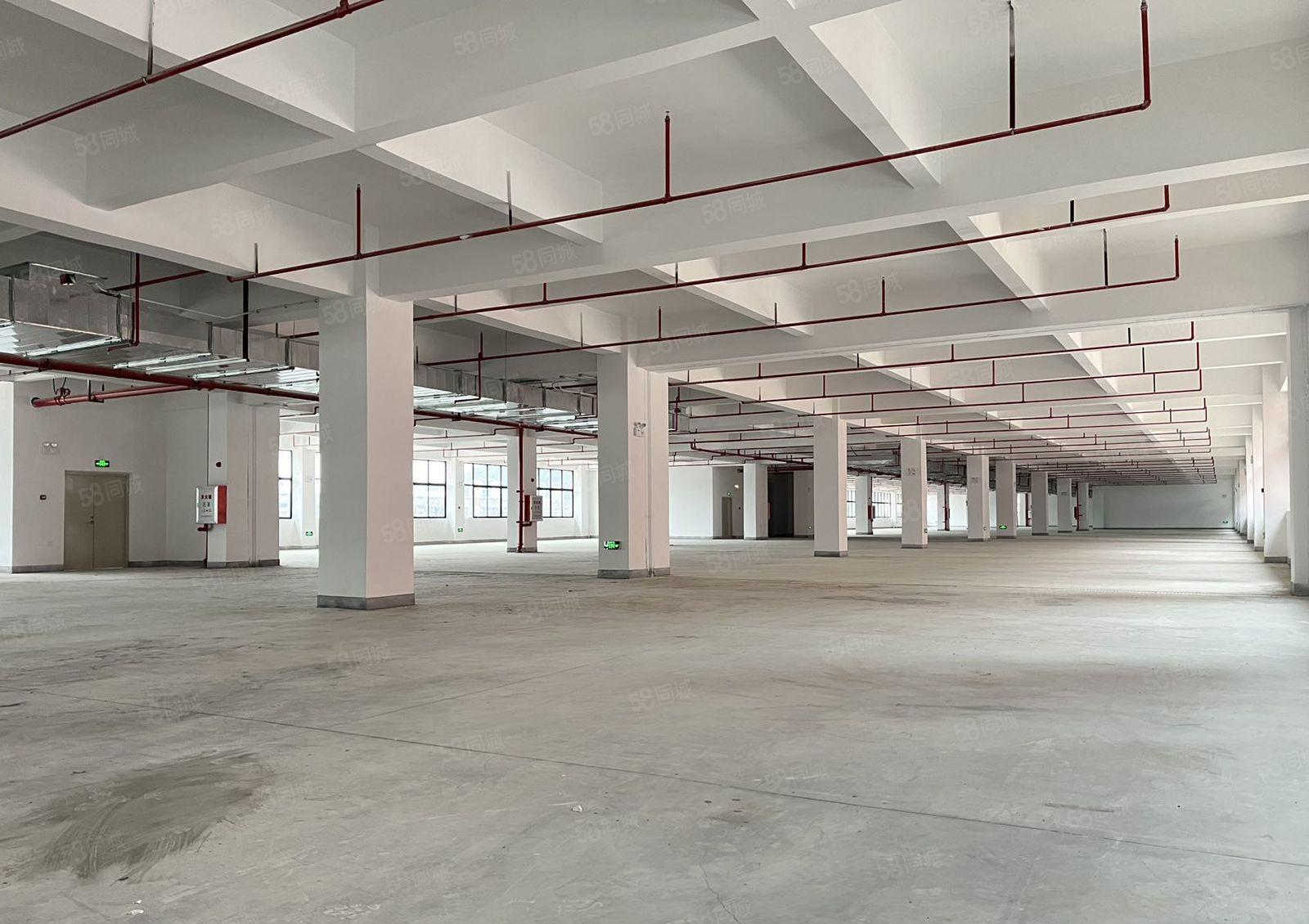 大亚湾临深十万平全新高新技术园低价出租，红本厂房原房东