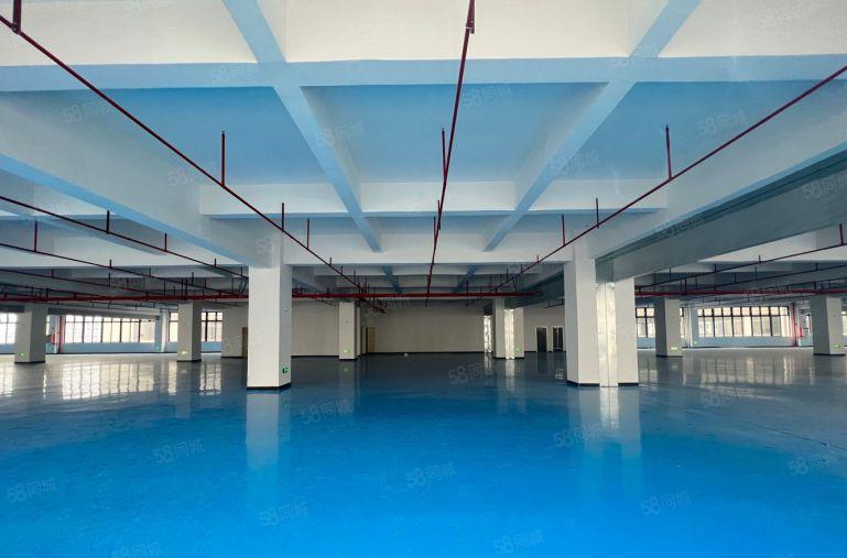 6元钱特价带地坪漆大小可分形象好原房东2000平厂房出租