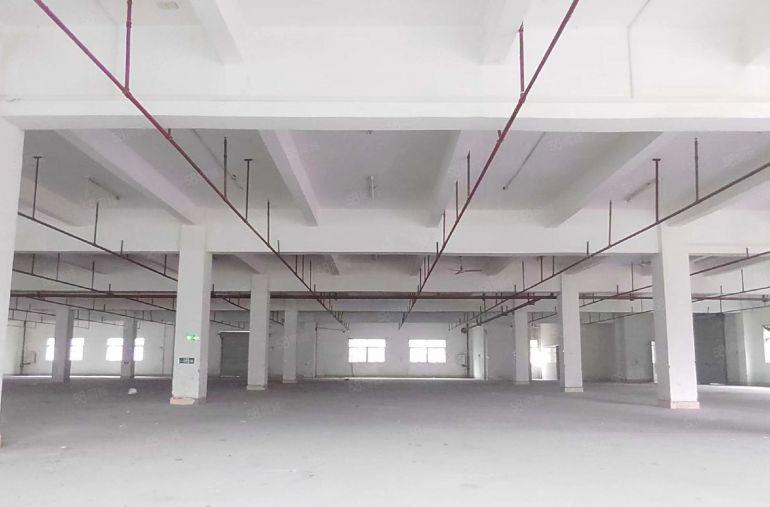 大亚湾西区厂房出租楼上1950平可分租交通方便主干道旁