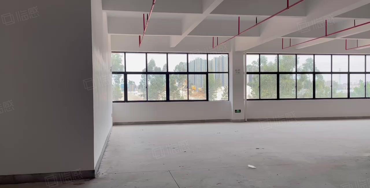 大亚湾10万平红本厂房出租 证件齐全 零公摊 可分租