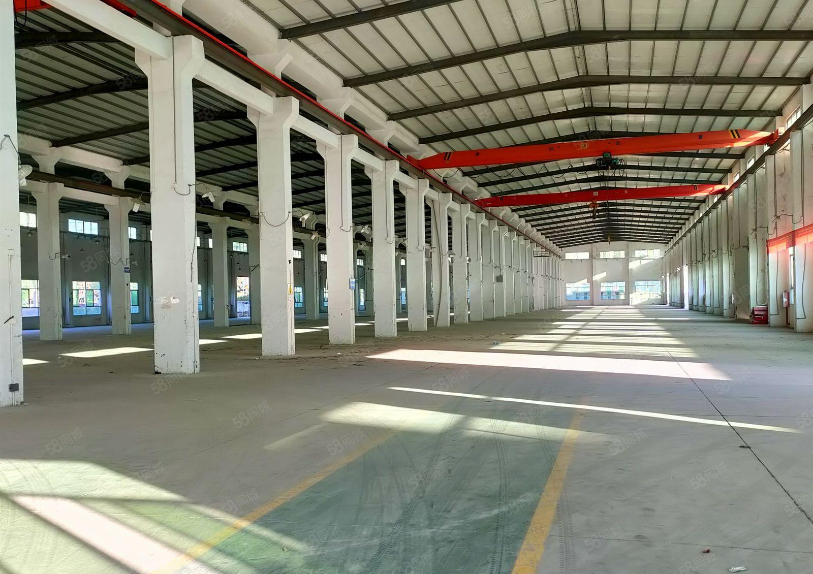 大亚湾10米高钢结构厂房出租，5000平方，可分租