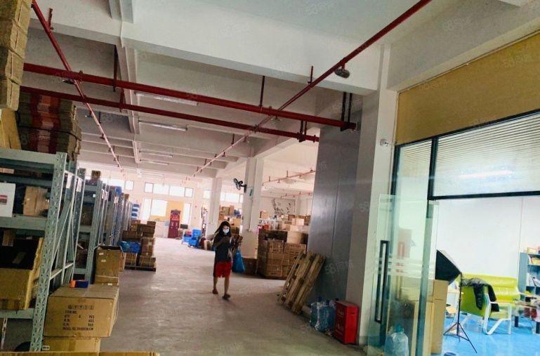 800平精装！10元一平！原房东厂房仓库出租！高使用率