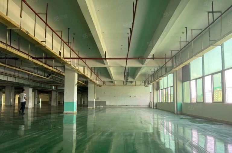 大亚湾新出楼上1000平厂房仓库带装修特价出租原房东无公摊