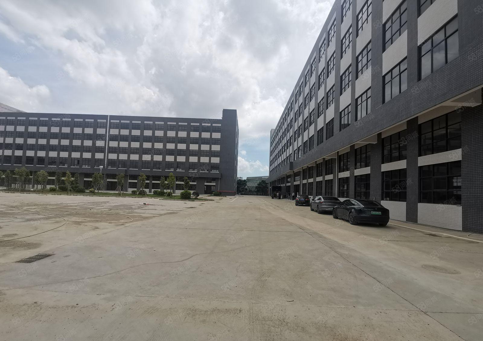 大亚湾全新红本标准厂房24000平米出租，空地超大，交通便利