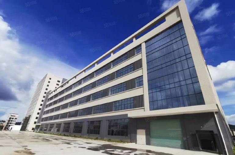 大亚湾全新厂房特价出租8元一平。