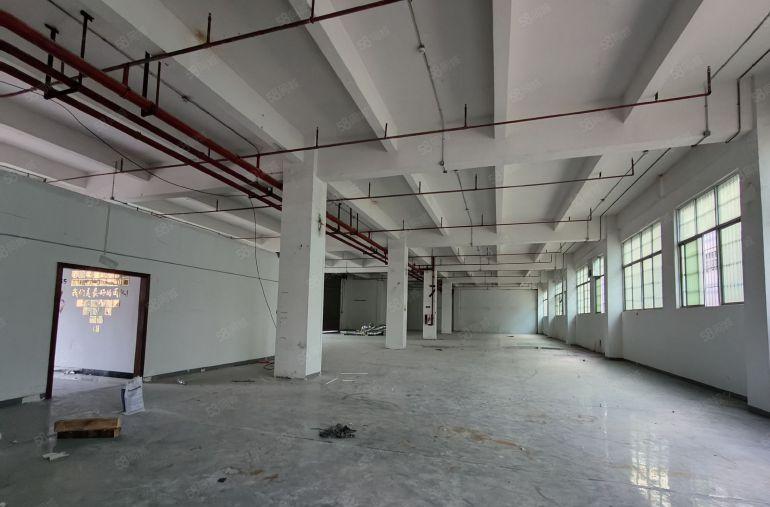 临深大亚湾一楼1200平方带装修办公室地坪漆红本厂房仓库出租